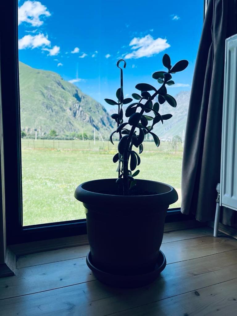 Quiet Cottage, Stepantsminda, Achkhoti Dış mekan fotoğraf